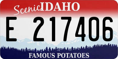 ID license plate E217406