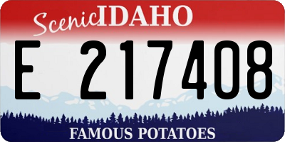 ID license plate E217408