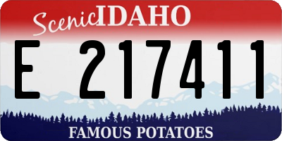 ID license plate E217411