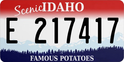 ID license plate E217417