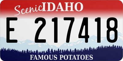 ID license plate E217418
