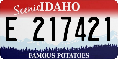 ID license plate E217421