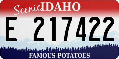 ID license plate E217422