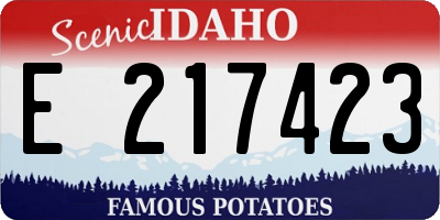 ID license plate E217423