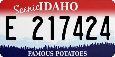 ID license plate E217424