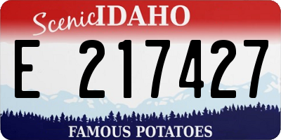 ID license plate E217427