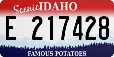 ID license plate E217428