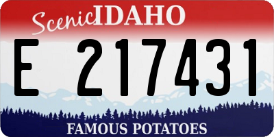 ID license plate E217431