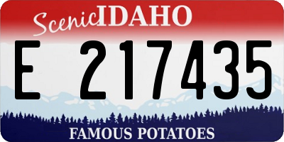 ID license plate E217435