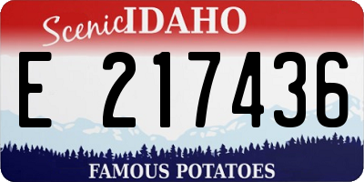 ID license plate E217436