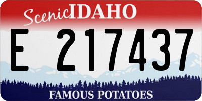 ID license plate E217437
