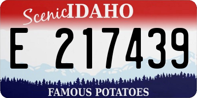 ID license plate E217439