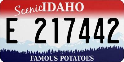 ID license plate E217442