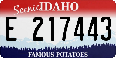 ID license plate E217443