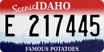 ID license plate E217445