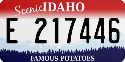 ID license plate E217446
