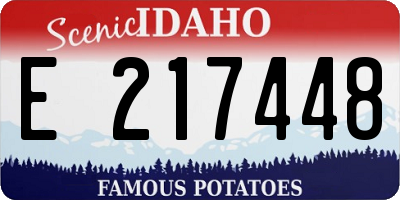 ID license plate E217448