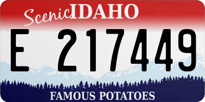 ID license plate E217449