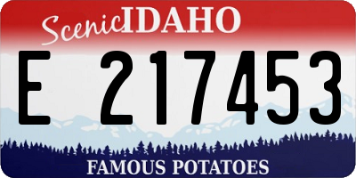 ID license plate E217453