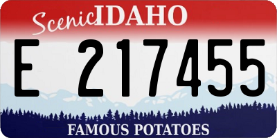 ID license plate E217455