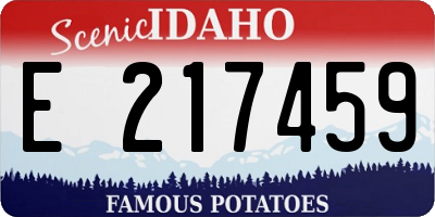 ID license plate E217459