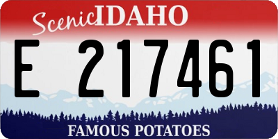 ID license plate E217461