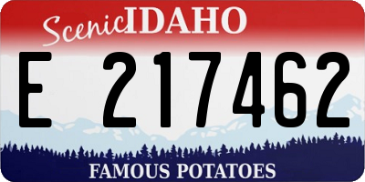 ID license plate E217462