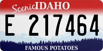 ID license plate E217464
