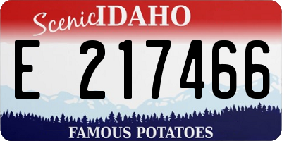 ID license plate E217466