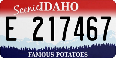 ID license plate E217467