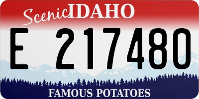 ID license plate E217480