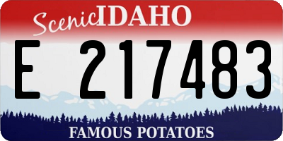 ID license plate E217483