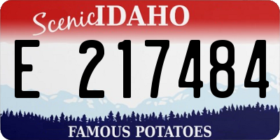 ID license plate E217484