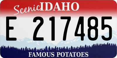 ID license plate E217485