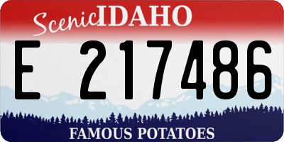 ID license plate E217486