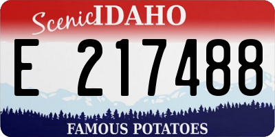ID license plate E217488