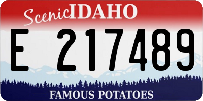 ID license plate E217489