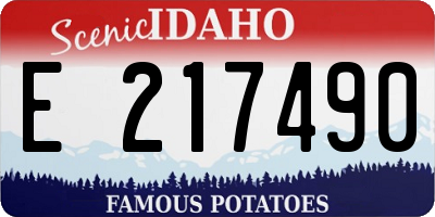 ID license plate E217490