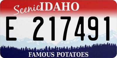 ID license plate E217491