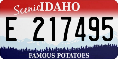ID license plate E217495