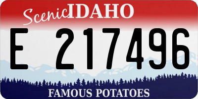 ID license plate E217496