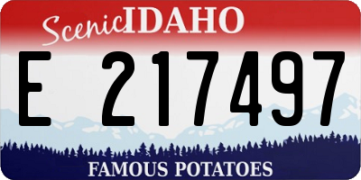 ID license plate E217497
