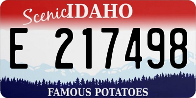 ID license plate E217498