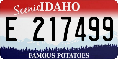 ID license plate E217499