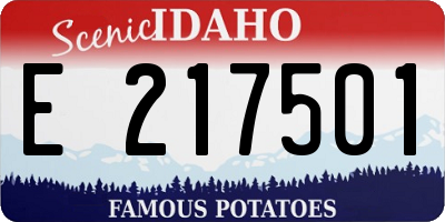 ID license plate E217501
