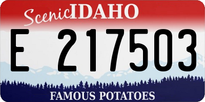 ID license plate E217503