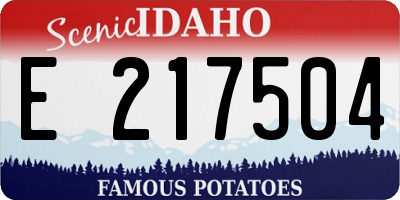 ID license plate E217504