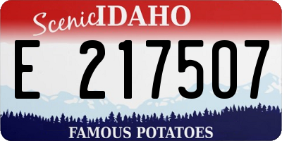 ID license plate E217507