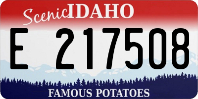 ID license plate E217508