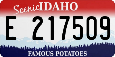 ID license plate E217509